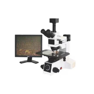 DIC-Mikroskop